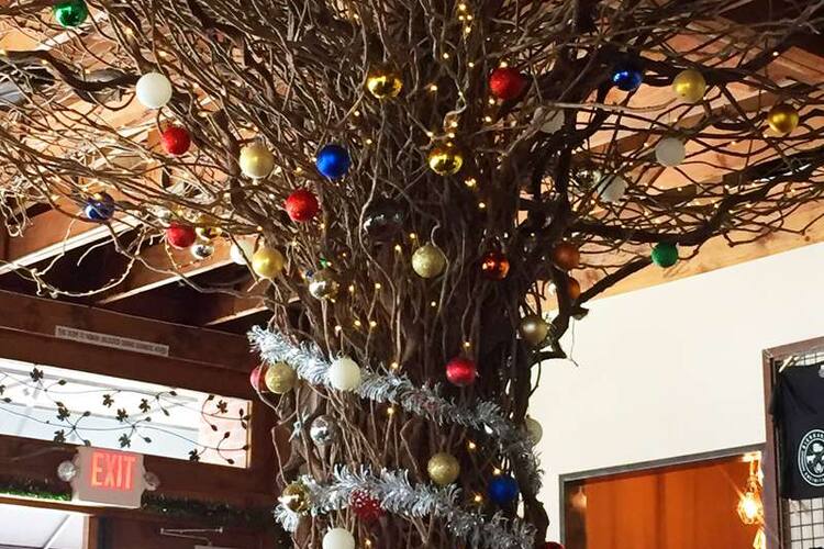 The Bier Garden Of Encinitas Encinitas San Diego